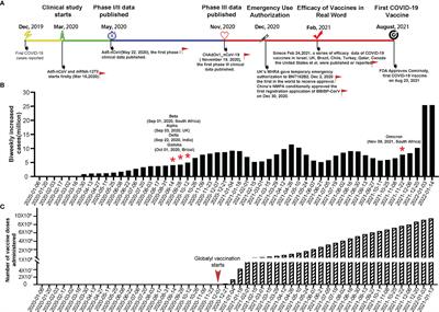 Considerations for the Feasibility of Neutralizing Antibodies as a Surrogate Endpoint for COVID-19 Vaccines